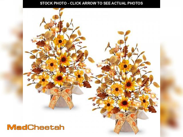Lot 74-12302005 - [ 2 Pack &amp; Timer ] TURNMEON Fall Decorations Tabletop Fall Tree with 20 LED Battery Operated Euc...
