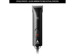 Lot 74-13621867 - undefined