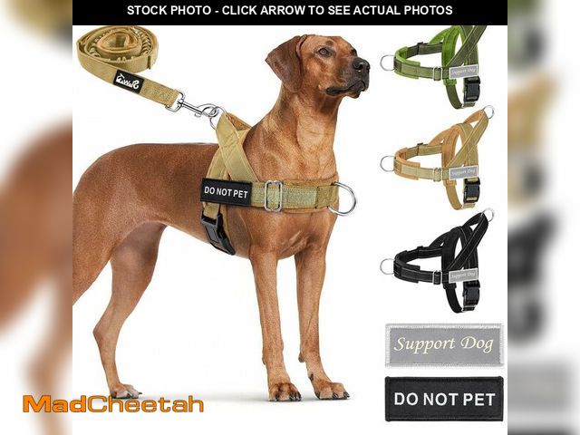 Lot 74-14213562 - SlowTon No Pull Dog Harness - Heavy Duty Dog Harness and Leash Set for Medium Large Dogs, Reflective...