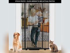 Lot 74-12394405 - undefined