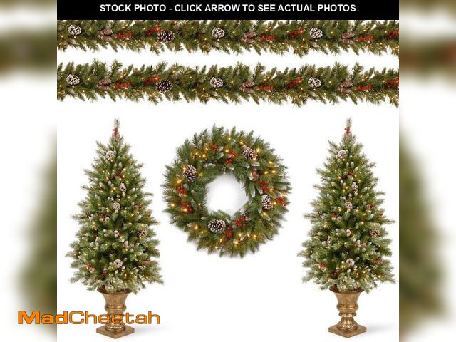 Lot 74-12149972 - Frosted Berry Assortment Two 4 Ft. Entrance Trees with Clear Lights and 24 in. Wreath with Warm Whit...