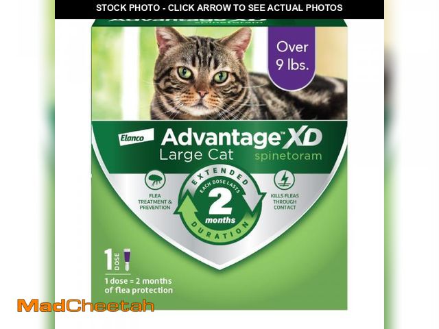 Lot 74-12302999 - Advantage XD Large Cat Flea Prevention &amp; Treatment For Cats over 9lbs. | 1-Topical Dose, 2-Month...