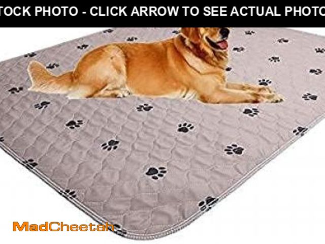 Lot 74-12122926 - Washable Dog Pee Pads with Puppy Grooming Gloves,Puppy Pads,Reusable Pet Training Pads,Large Dog Pee...