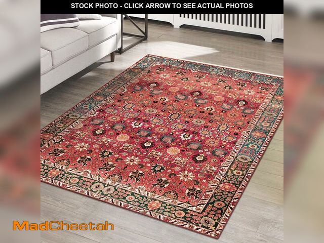 Lot 74-13456162 - vivorug 6x9 Area Rug Ultra-Soft Washable Rug for Living Room Dinner Room Bedroom Non-Slip Vintage Re...