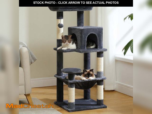 Lot 74-12669142 - PAWZ Road Cat Tree Condo 46âwith Sisal Covered Scratching Posts Tower Deep Hammock and Large Perch...