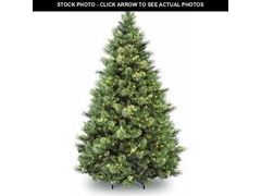 Lot 74-13419053 - undefined