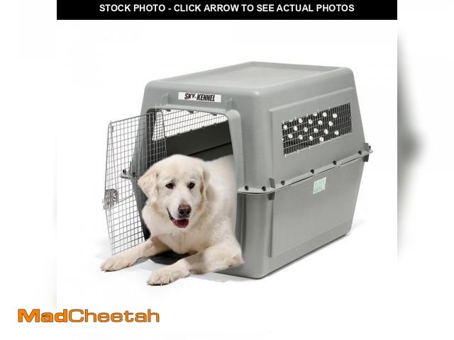 Lot 74-12394643 - Petmate Sky Kennel - For Air and Travel, Airline Approved Dog Crate for Pets 90-125 lbs, Heavy Duty ...