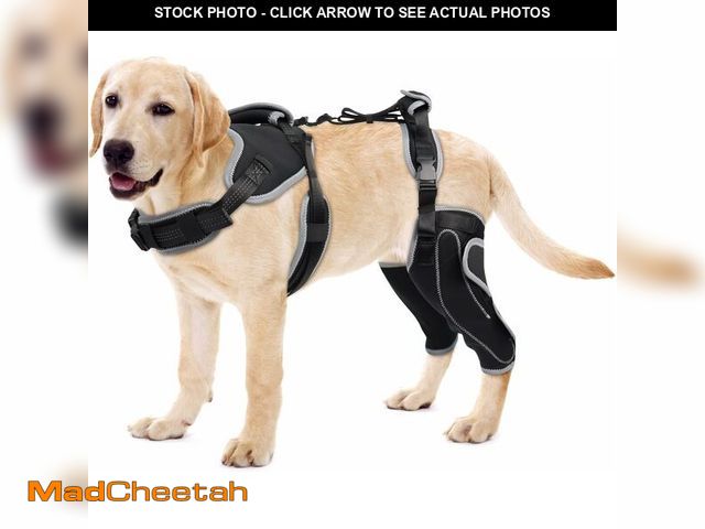 Lot 74-12673374 - LISPOO Dog Knee Brace for Torn ACL/CCL Hind Leg,Adjustable Support with Sufficient Wrapping and Supp...