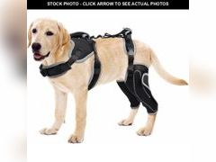 Lot 74-12673374 - undefined