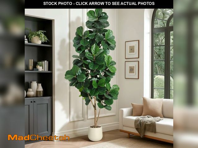 Lot 74-13844316 - 7 ft Fiddle Leaf Fig Tree Artificial with 141 Leaves - Realistic Faux Ficus Lyrata Trees in 9 in Whi...