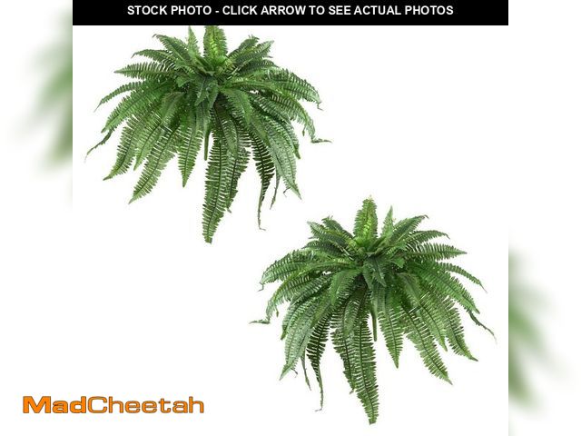 Lot 74-13770544 - Nearly Natural 48 in. Artificial Boston Fern (Set of 2) - UNUSED