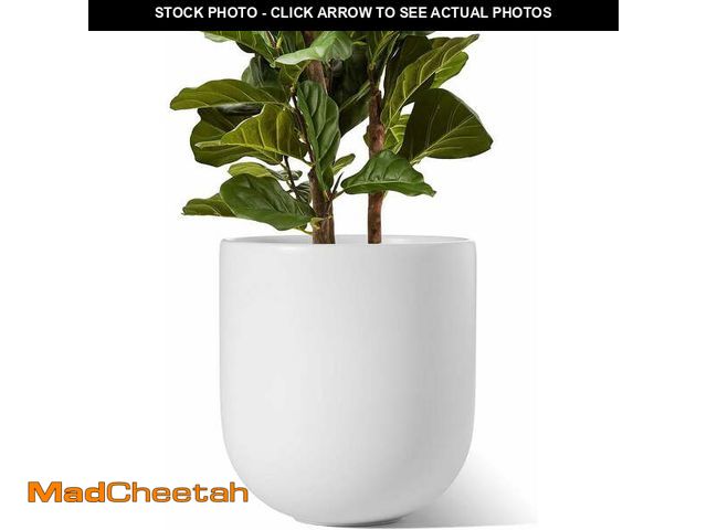 Lot 74-13776493 - BEMAY 12" Ceramic Plant Pots, Large Flower Pots with Drain Holes&amp; Plug Indoor Planter, White Out...