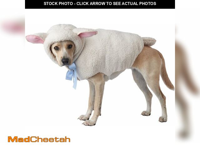 Lot 74-12664159 - California Costumes, Sheep Dog, Size Medium for Small Dogs - UNUSED