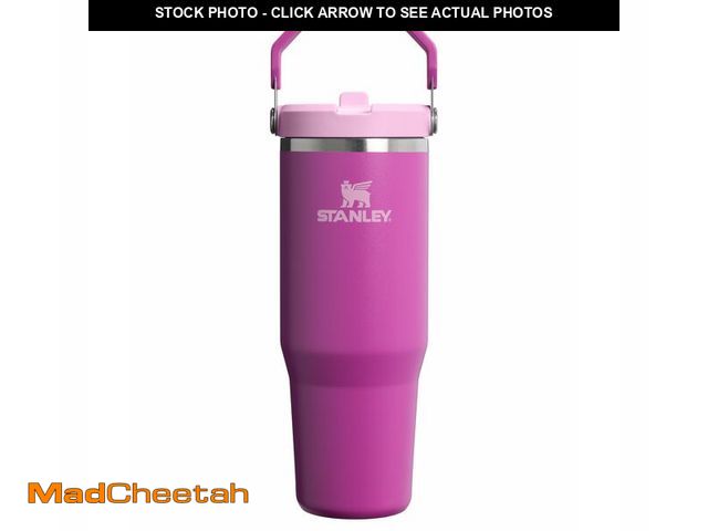 Lot 74-14213816 - STANLEY IceFlow 2.0 Flip Straw Tumbler with Handle 30 oz | Twist On Lid and Flip Up Straw | Leakproo...