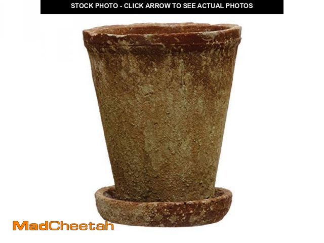Lot 74-12098124 - Creative Co-Op Cement Planter with Saucer, Distressed Terra-Cotta Finish, Holds 5" Pot - UNUSED