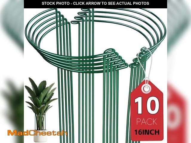 Lot 74-13955055 - Thealyn 10 Pack Plant Support Stakes, 10" W x 16" H Metal Peony Cages and Supports, Rustproof Half R...