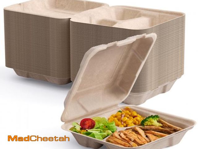 Lot 74-11549271 - ECOLipak 50 Pack Clamshell To Go Containers, 100% Compostable Disposable Take Out Food Containers, 8...