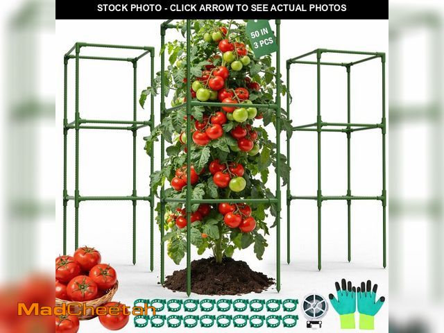 Lot 74-14280589 - Uyittour 3 Pack Square Tomato Cages for Garden, 50" Heavy Duty Square Tomato Trellis Plant Support C...