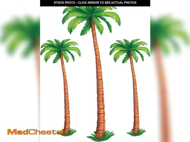 Lot 74-12399551 - Beistle 3 Count Jointed Palm Tree Decorations, Cardstock Paper Cut Outs, Luau Beach Theme, Tropical ...