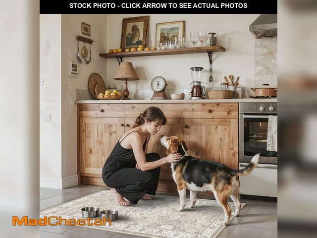 Lot 74-12707252 - Washable 2x4 Entryway Area Rugs: Vintage Water Resistant Kitchen Rug Non-Slip Durable Doormat Ultra ...