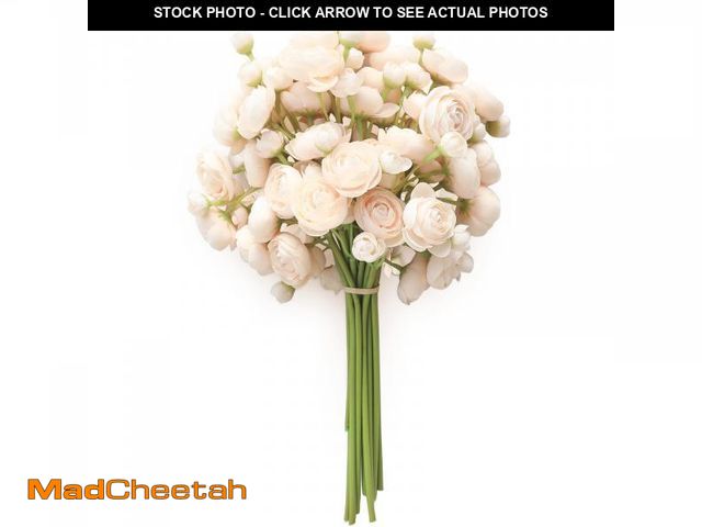 Lot 74-12306628 - Floroom Ranunculus Artificial Flowers 18 Pcs Champagne Faux Silk Mini Ranunculus Bulk Fake Wedding F...