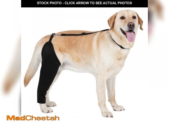 Lot 74-12303782 - BARKLESS Single Dog Rear Leg Sleeve to Stop Licking, Breathable Male Female Dog Recovery Suit for Po...