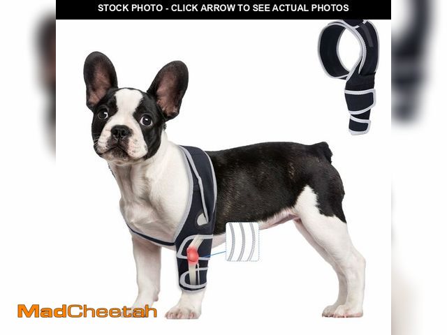 Lot 74-12702572 - Knee Brace for Dogs with Torn ACL, Adjustable Dog Leg Braces Rear Leg or Front Legs Support Bracket,...
