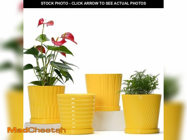 Lot 74-14273239 - Ton Sin Plant Pots, 6 Inch Flower Pots for Plants,Ceramic Planter with Drainage Holes,Indoor Planter...