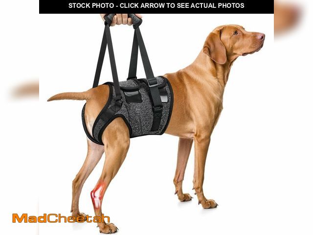 Lot 74-12705802 - SlowTon Dog Lift Harness - Adjustable Dog Sling for Medium Large Dogs, Hind Leg Support to Help Reha...