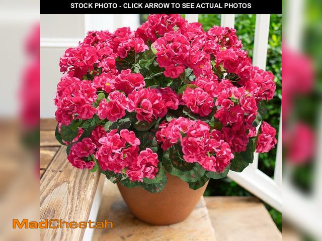 Lot 74-13957984 - Artificial Geranium Fake Flowers for Outdoors Decoration, 6 Bundles Silk Geraniums Flower UV Resista...