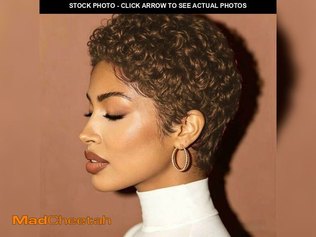 Lot 74-14052840 - SisBroSis Pixie Cut Human Hair Wig for Black Women Short Layered Afro Curly Pixie Cut Style Human Ha...