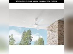Lot 74-12804203 - undefined