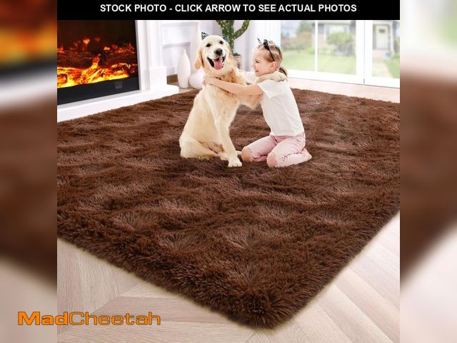 Lot 74-12310892 - Noahas Fluffy Brown 4x6 Area Rugs for Bedroom Living Room,Thick Shag Throw Floor Carpet,Soft Shaggy ...