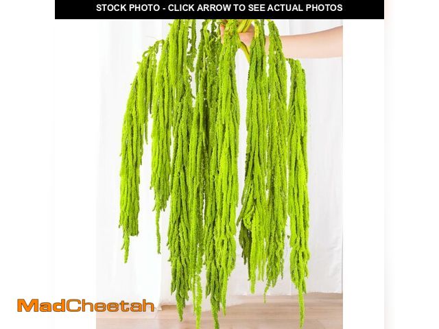 Lot 74-13711637 - 7Pcs Green Dried Amaranthus Hanging Flowers - 100% Natural Dye Neon Green 23" Real Amaranthus , Pres...