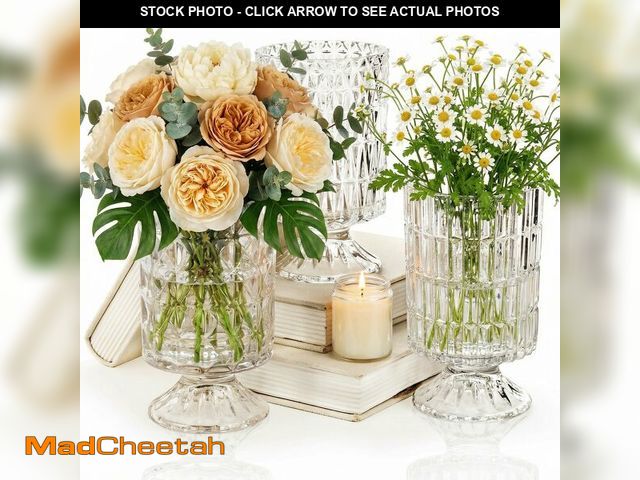 Lot 74-14380864 - Goaste 3 Pack Embossed Big Base Vase, 7" Crystal Glass Vase, Hydroponic Green Plant Vases, Transpare...