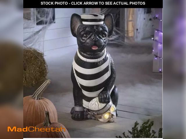 Lot 74-12892684 - French Bulldog Halloween Dog Prisoner W Skull LED 2.5 Ft - UNUSED