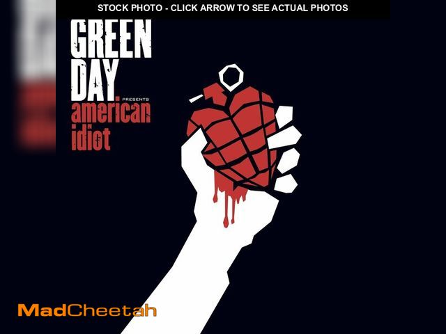 Lot 74-13621816 - American Idiot - USED