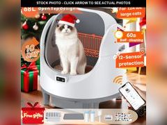 Lot 74-12818693 - undefined