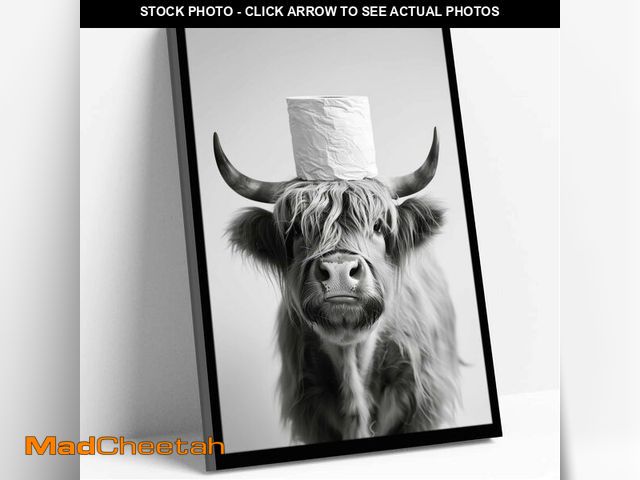 Lot 74-13543213 - Funny Highland Cattle Bathroom Wall Art, Framed Black and White Highland Cattle Canvas prints, 12x16...