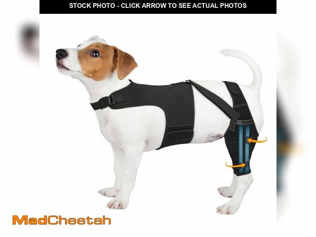 Lot 74-14211102 - Marnonsis Dog Knee Brace for Torn Acl Hind Leg, Adjustable for Back Leg with 10 Stabilizers, Reduces...