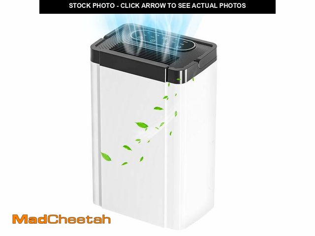 Lot 74-12678403 - Rocyis 19 Pint (DOE) for 4500 sq. ft. Dehumidifier for Home, Humidity with Auto Shut off, Auto Drain...