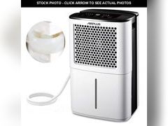 Lot 74-12557877 - undefined