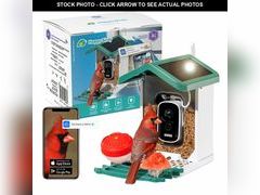 Lot 74-13569897 - undefined