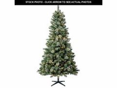 Lot 74-12857364 - undefined