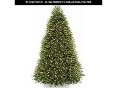 Lot 74-12899123 - undefined