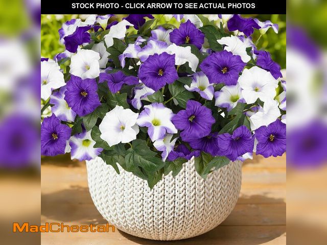 Lot 74-14378037 - Artificial Flowers for Outdoors, Faux Petunias Spring Summer Decoration, Fake Flowers Plants UV Resi...