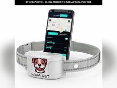 Lot 74-12609061 - undefined