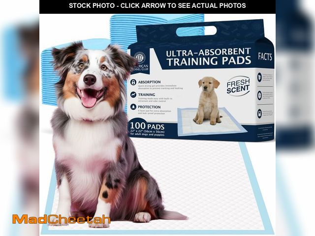 Lot 74-12709097 - American Kennel Club Scented Puppy Training Pads with Ultra Absorbent Quick Dry Gel Ã¢â¬â 22 x 22...