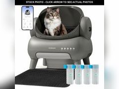 Lot 74-12823544 - undefined