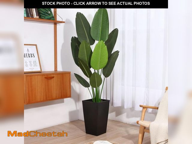Lot 74-12482153 - TINTEC 5 Ft Artificial Bird Of Paradise Artificial Trees in Green Decorative Placement Plastic Growe...